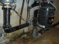 Leaky Pipes Water Intrusion Mold